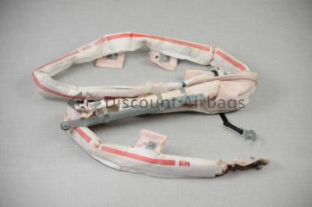 2012-2021 Tesla Model S Right Passenger RH Side Roof Curtain Airbag OEM Genuine